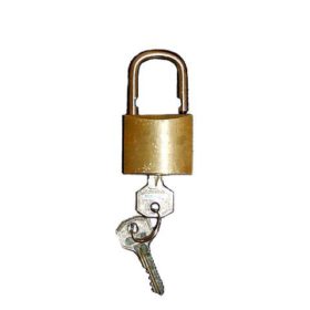 Security lock for burglar protection