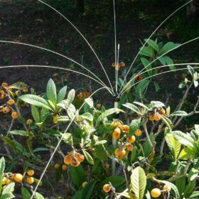 Bird Control for garden and balconies