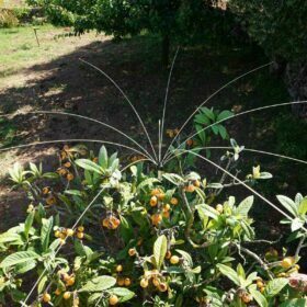 Bird control for garden and balconies