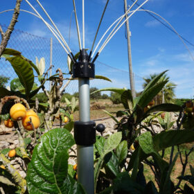 Bird control for garden and balconies
