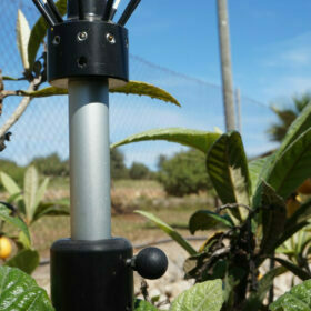 Bird Control for garden and balconies