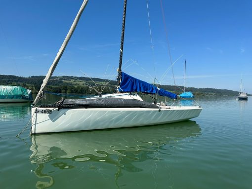 Easy Boat Protection with SWI-TEC: Equip your boat with our seagull protection and enjoy an impeccable view. Simple installation, maximum cleanliness!