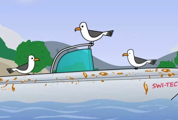 Der Möwenschutz Universal von SWI-TEC verhindert Vogelkot an Bord