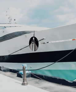 Alternative view of Protección anti-roedores profesional